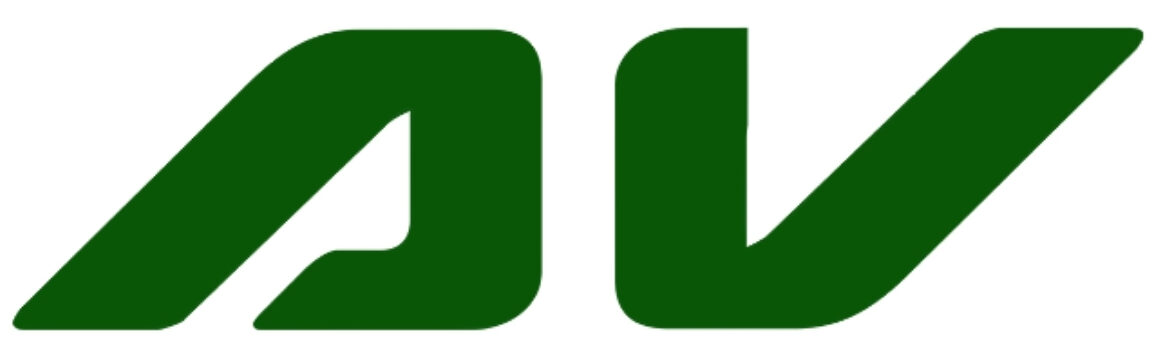 Secondary Logo for ARINN VISUALS